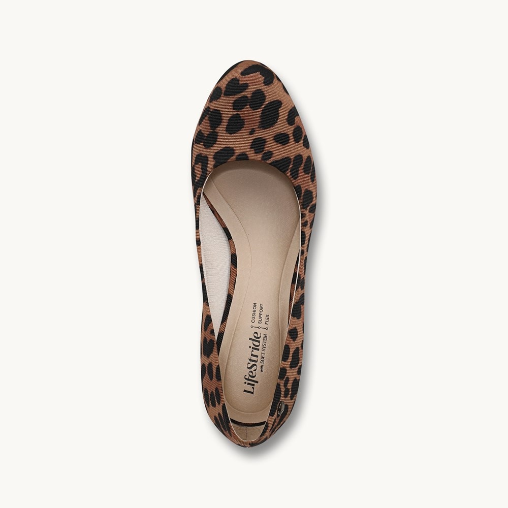 Parigi Pump